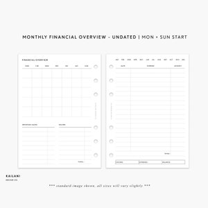 May include: A printable monthly financial overview planner with sections for income, expenses, and important dates. The planner is designed to be used with a disc-bound planner system.