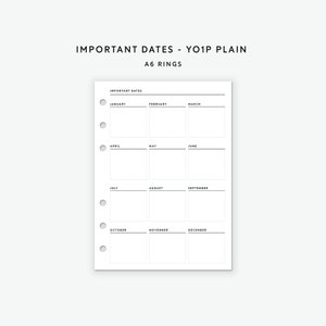 A6 Rings Insert, Important Dates, Year At A Glance, Calendar, A6 Planner, Printable Inserts,