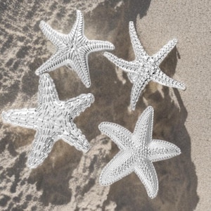 Puxadores de armário em formato de estrela-do-mar prateada, puxadores de gaveta em estilo casa de praia, puxadores de armário prateados, puxadores de cômoda, puxadores de móveis.