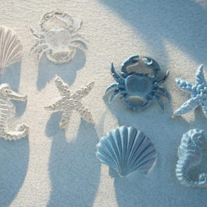 Puede incluir: Un surtido de elementos decorativos con temática marina, que incluyen conchas, caballitos de mar, estrellas de mar y cangrejos. Los elementos son en tonos blancos y azules, con superficies texturizadas, y están dispuestos sobre un fondo arenoso.