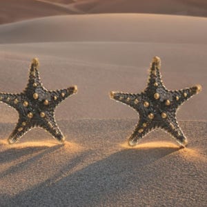 Puede incluir: Dos pendientes con forma de estrella de mar en tonos gris oscuro y dorado. Los pendientes están colocados sobre un fondo arenoso, creando una estética playera. Un accesorio único.