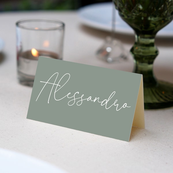 Green Wedding Place Cards, Printed Place Cards, Modern Minimalist Place Card s, Table Name Cards, Table Name Tags, Custom Printed Name Cards