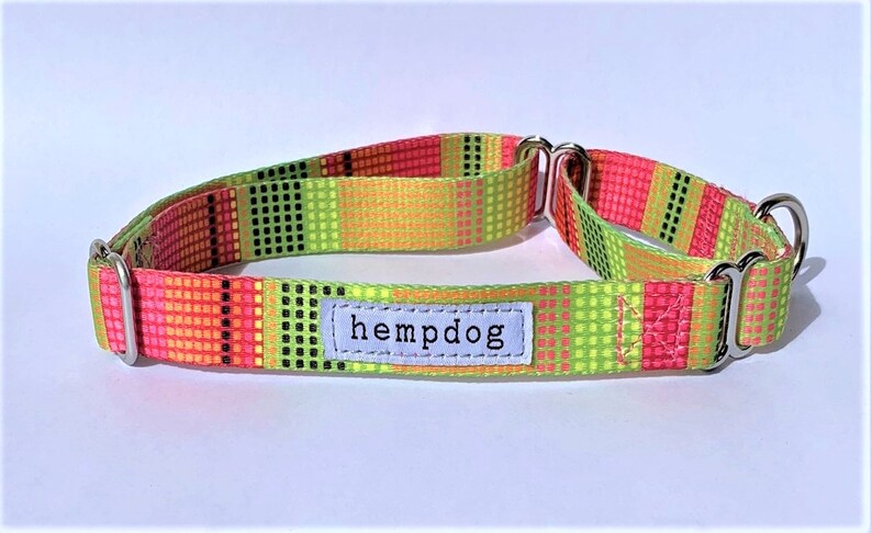 Puede incluir: Un collar para perro de color verde, rosa y naranja con herrajes plateados. El collar tiene una etiqueta blanca que dice "hempdog".