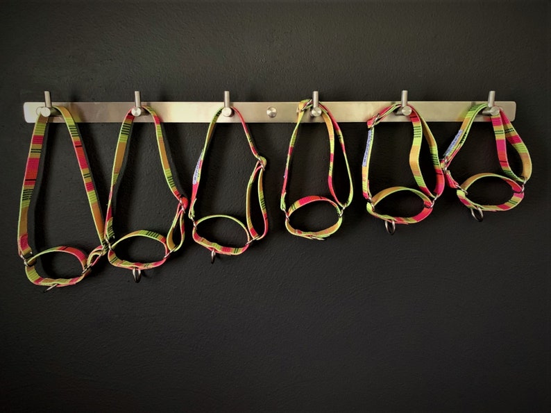Puede incluir: Seis collares para perros coloridos cuelgan de ganchos en un estante de metal contra una pared negra. Los collares est&aacute;n hechos de tela tejida con rayas verdes, rojas y amarillas.