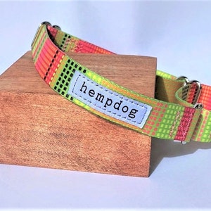 Hempdog 100% Recycled Plastic RPET Eco-Friendly Escape Proof Martingale Style Dog Collar