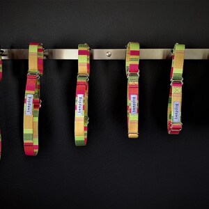 Puede incluir: Seis collares para perros coloridos con un patr&oacute;n geom&eacute;trico en tonos de verde, amarillo y rojo. Los collares est&aacute;n colgados en un estante de metal plateado. Cada collar tiene la palabra "hempdog" impresa.