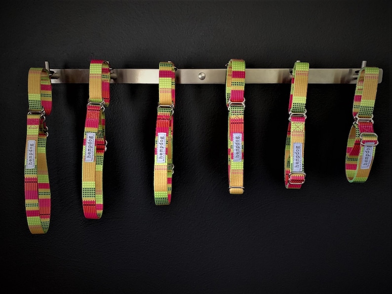 Puede incluir: Seis collares para perros coloridos con un patr&oacute;n geom&eacute;trico en tonos de verde, amarillo y rojo. Los collares est&aacute;n colgados en un estante de metal plateado. Cada collar tiene la palabra "hempdog" impresa.
