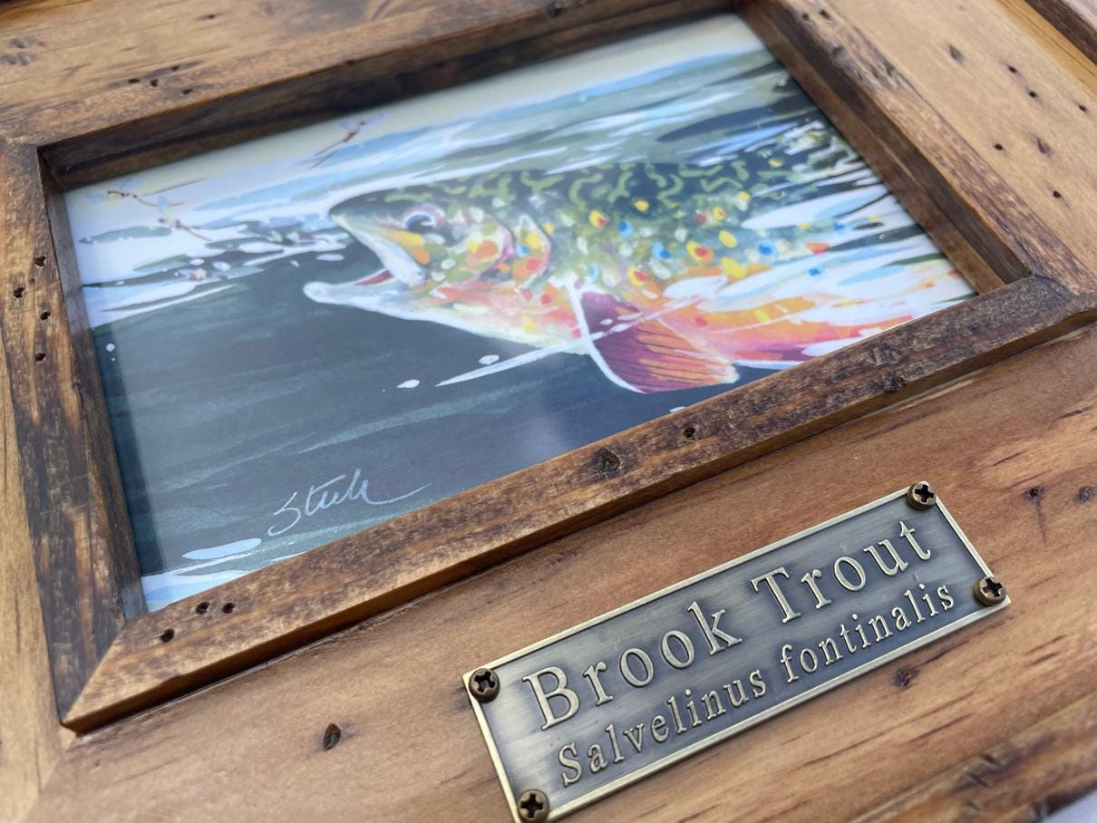 Brook Trout Watercolor Print Set in a hand-crafted Frame Made from Reclaimed Michigan Barn Wood
