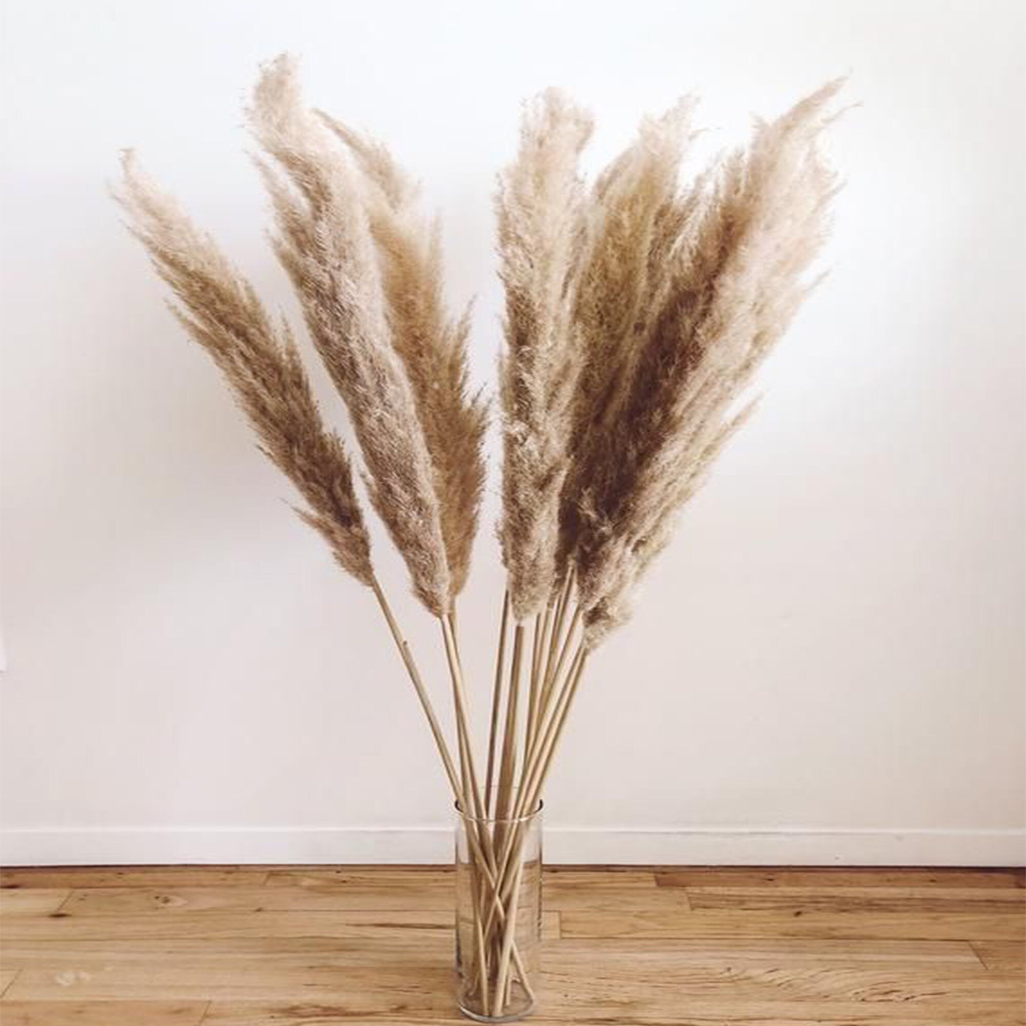 Reed Dried Flower Bouquet Natural Dried Reed Decorative Etsy