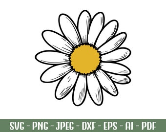 Daisy Flower svg png, digital download, instant download