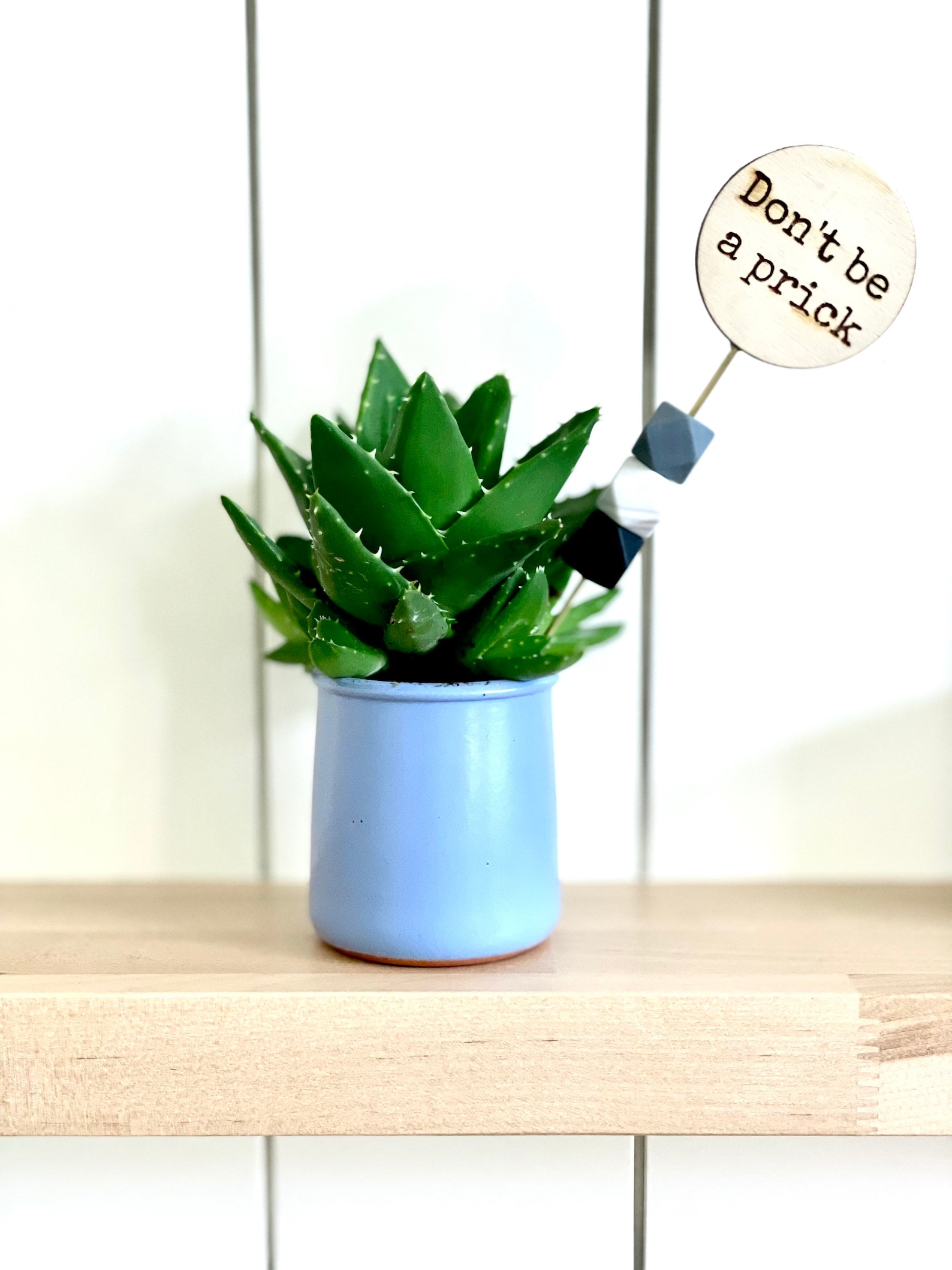 Funny Plant Pun Signs for the Plant Lover Plant Decor Etsy