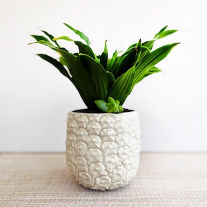 May include: A green plant with long leaves in a white ceramic pineapple-shaped planter.