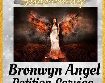 Bronwyn Angel Petition Service