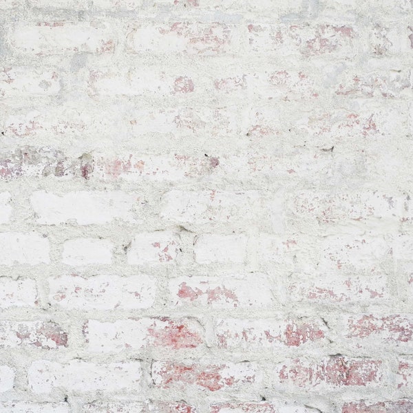 White Brick Backdrop Etsy