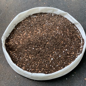 Certified Organic Succulent Soil (1/2 gallon)