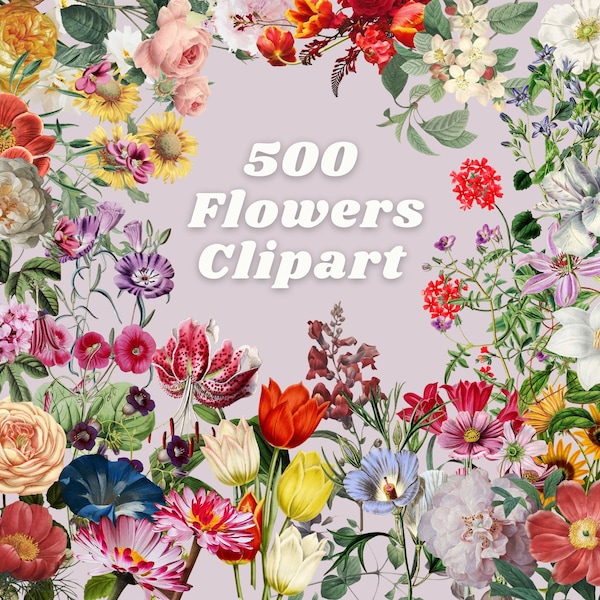 Vintage Flower Clipart Bundle, Vintage Flower Elements, Vintage Flower Digital Art,  Floral Clipart, Floral Elements