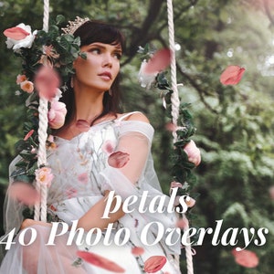 Blütenblätter Overlays, Blütenblätter Overlays, Blütenblätter Overlays, Blütenblätter digitales Papier, Blütenblätter Hintergrund