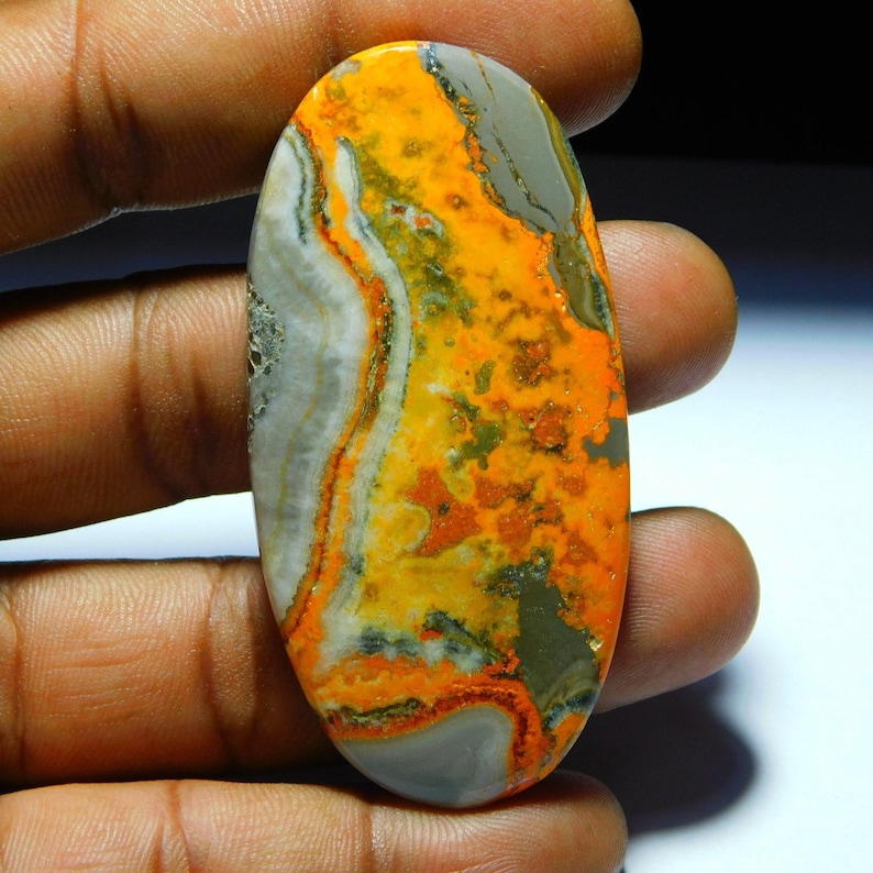 bumble bee jasper bumble bee jasper