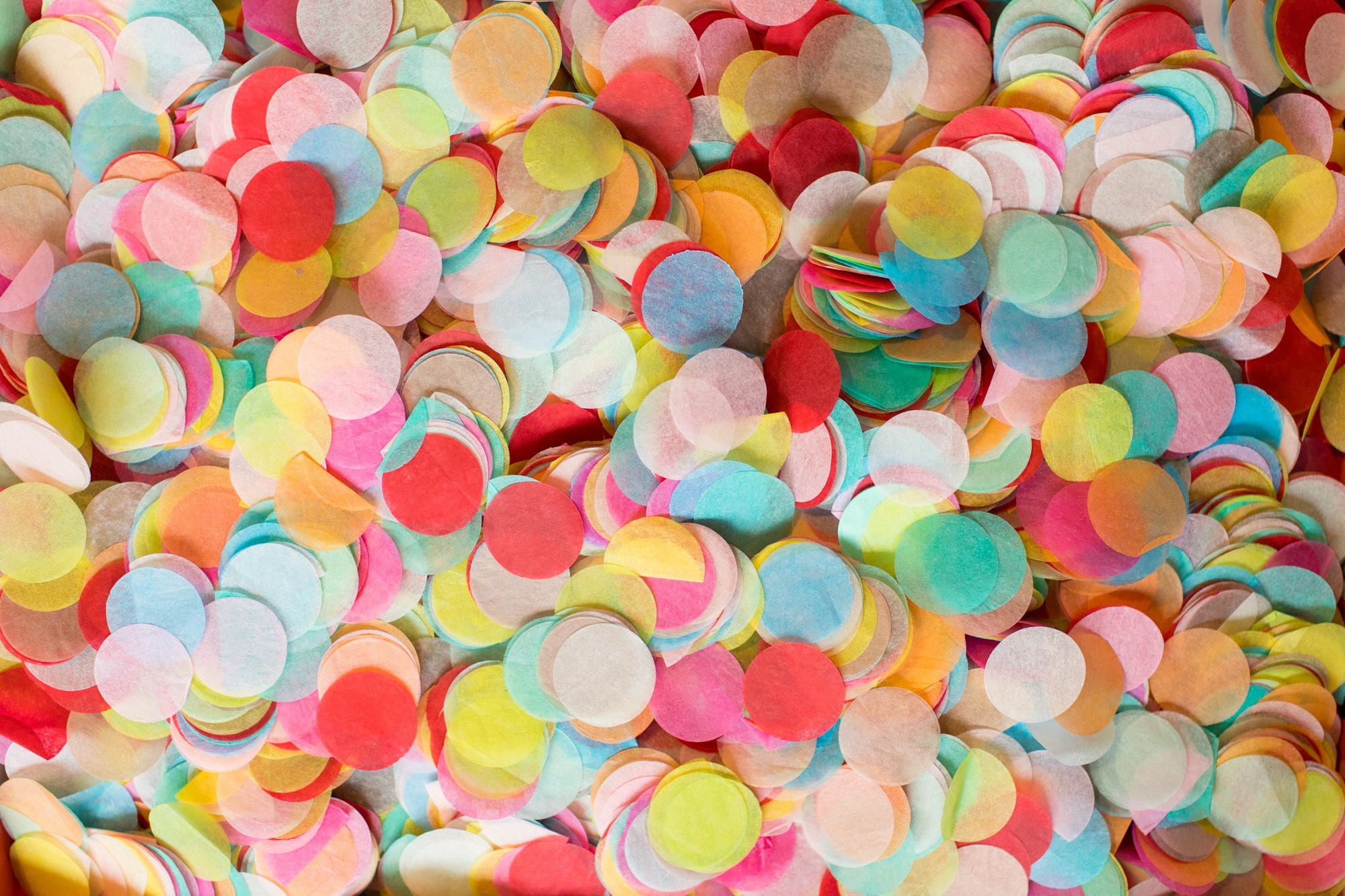 Wedding Confetti Biodegradable Confetti Circles 25-30 Guests Custom Confetti  