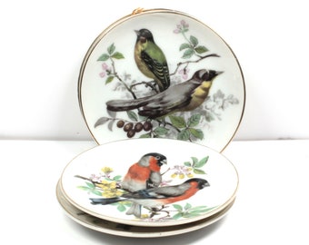 Vintage Vogel Keramik Wandteller: 1960er Jahre Galerie Decor Set