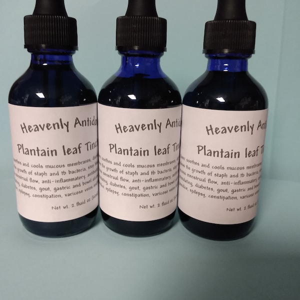Wild Crafted Plantain Tincture