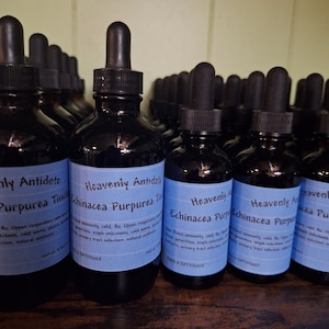Echinacea purpurea tincture
