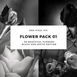 Flower Pack Black and White, Stock Photo, Instagram, Digital Download image 1