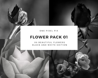 Flower Pack - Black and White, Stock Photo, Instagram, Digital Download
