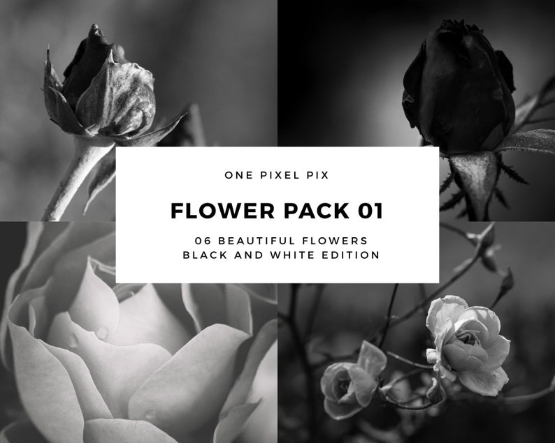 Flower Pack Black and White, Stock Photo, Instagram, Digital Download image 1