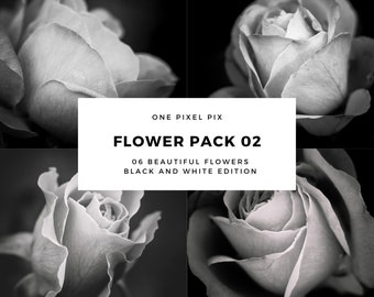 Flower Pack 02 - Black and White, Stock Photo, Instagram, Digital Download