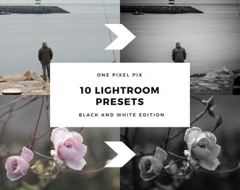 10 Lightroom CC Presets - Black and White Edition 01