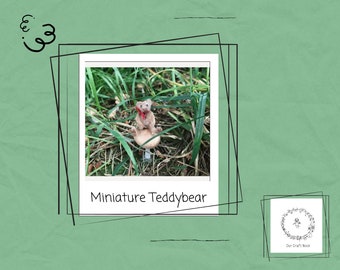 Miniature Teddy Bear kit, Make your own Teddy Bear, craft kit