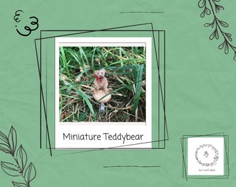 Miniature Teddy Bear tutorial pdf, pipecleaner animal, craft kit, diy