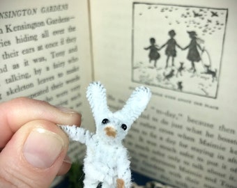 White Rabbit, Easter Bunny, miniature bunny