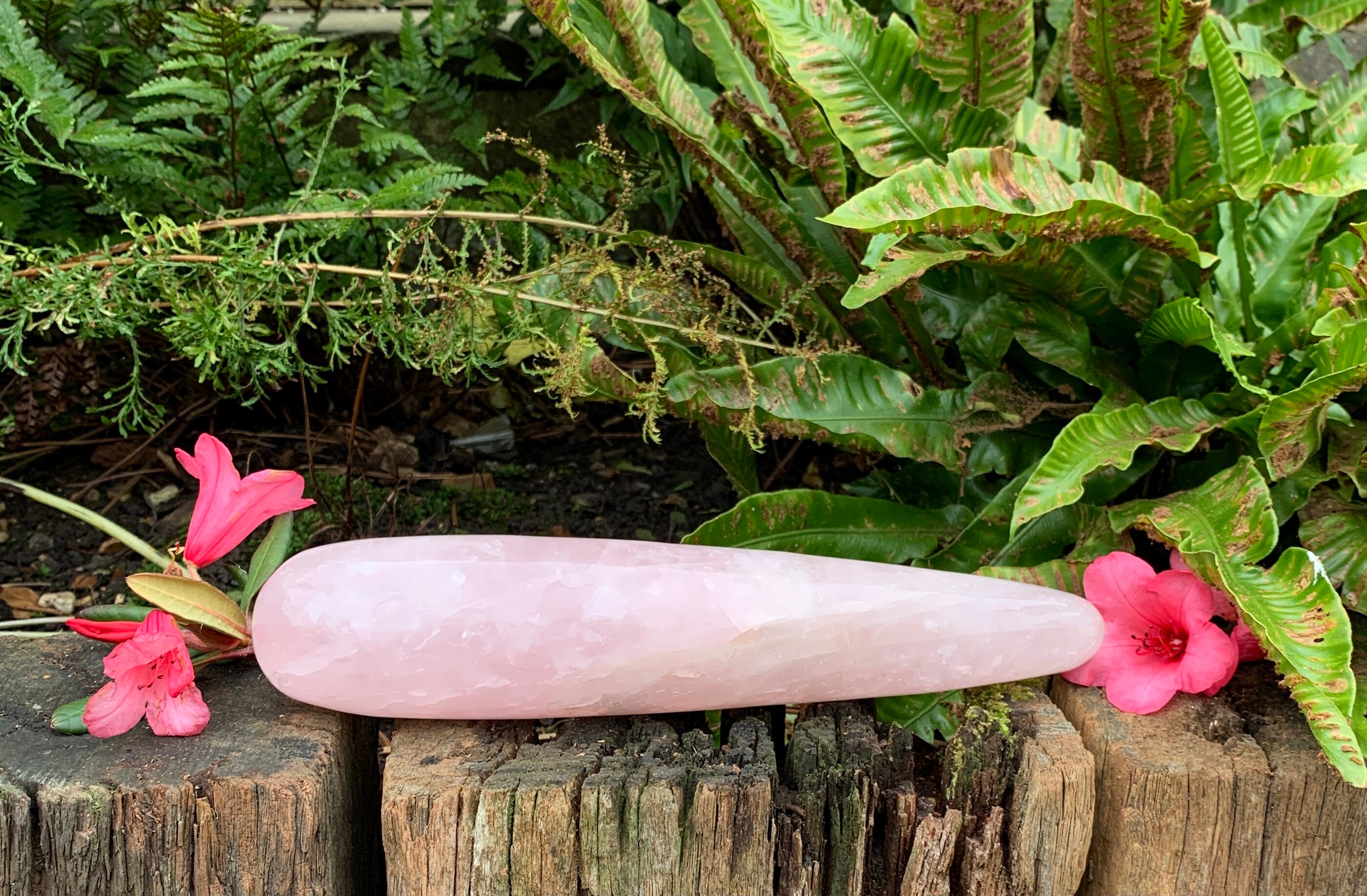 The Vixenp Dildo: A Luxurious Experience - zeljee2