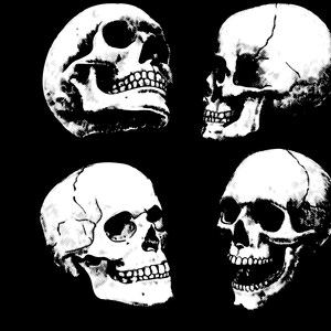 skull htv file, skull svg, skull shirt, skulls , 4 skull files