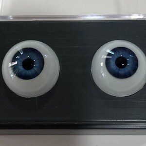 May include: Two blue prosthetic eyes in a black plastic case. The eyes have a dark blue iris and a white sclera. The eyes are round and have a glossy finish. The case is rectangular with a clear plastic lid.