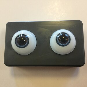 May include: Two blue glass eyes with black pupils, set in a gray plastic case.