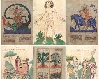 Medieval Encyclopedia Manuscripts Illuminated Bestiaries Liber Floridus Buch der Natur De Rerum Naturis Rare Manuscripts Download