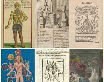 Samling av sällsynta böcker om ockult astrologi – zodiakmanuskript, alkemi och himmelskartor (13 verk, digital nedladdning) Della Porta - Rosarium