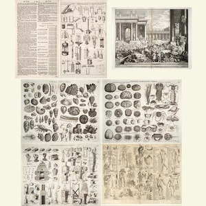 Peut inclure: Une collection d'illustrations vintage représentant divers sujets scientifiques et d'histoire naturelle. Les illustrations comprennent des diagrammes d'hydraulique, une variété de coquillages, d'oursins et de crabes, ainsi qu'un dessin anatomique détaillé du corps humain.