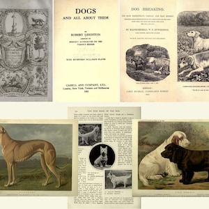 72 antique books about Dogs - Dog Breeds - Digital Download ZIP files