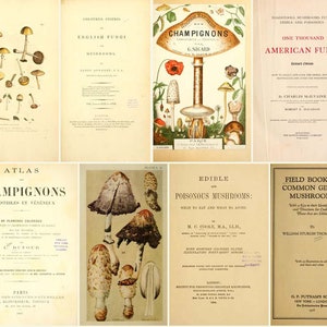 42 antique books about MUSHROOMS Coloured figures of English fungi Edible and poisonous Champignons et truffes - Digital Download ZIP files