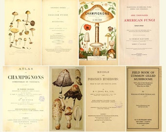 Antique Mushroom Book Collection Vintage Fungi Mushrooms Toadstools Edible Poisonous Mycology Botanical Illustrations 42 Books Download