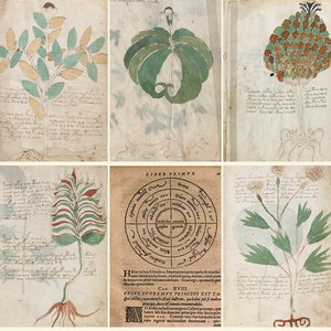 The Voynich Manuscript Plus Polygraphia - Steganographia - Trithemius - Digital Download ZIP