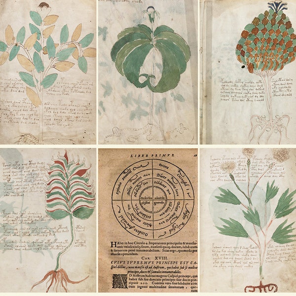 The Voynich Manuscript Plus Polygraphia - Steganographia - Trithemius - Téléchargement numérique ZIP