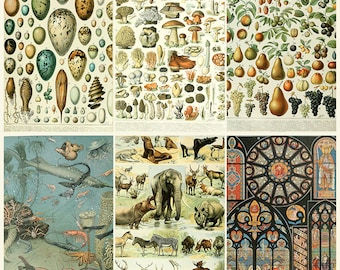 Nouveau Larousse illustre - Dictionnaire Universel Encyclopedique - Digital Download ZIP