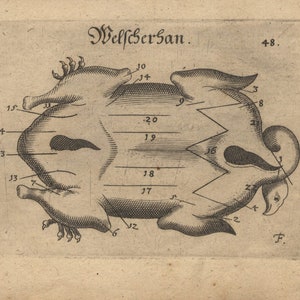 Puede incluir: Una ilustraci&oacute;n en blanco y negro de un p&aacute;jaro con partes numeradas etiquetadas en alem&aacute;n. El texto "Welschersan" y "48." tambi&eacute;n es visible.