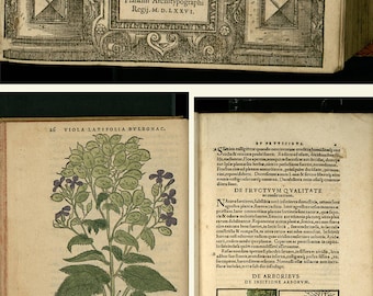16th Century Botanical books - botany, herbs Rembert Dodoens Adam Lonicer - Charles de L&#39;Ecluse - Otto Brunfels - Digital Download ZIP files