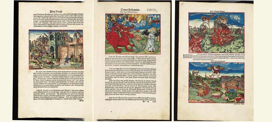 希少な挿絵入りドイツ語聖書コレクション – ルター訳 1534年（デジタル